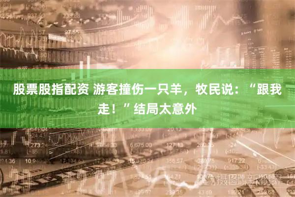 股票股指配资 游客撞伤一只羊，牧民说：“跟我走！”结局太意外